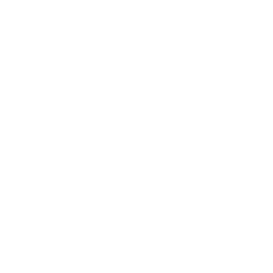 Demo Play